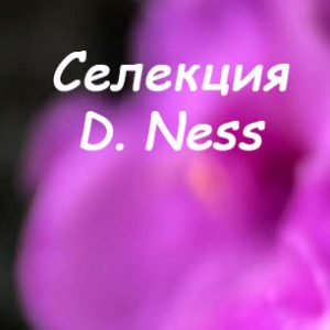 D. Ness
