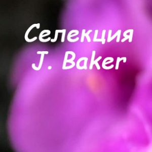J.Baker
