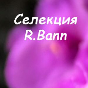 R.Bann